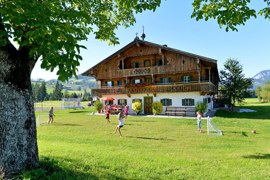 Ferienhaus Hinterebenhub ホップフガルテン・イム・ブリクセンタール エクステリア 写真