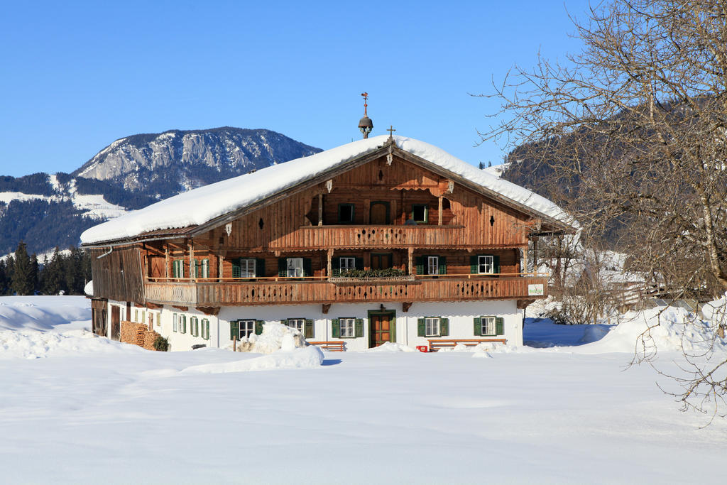Ferienhaus Hinterebenhub ホップフガルテン・イム・ブリクセンタール エクステリア 写真